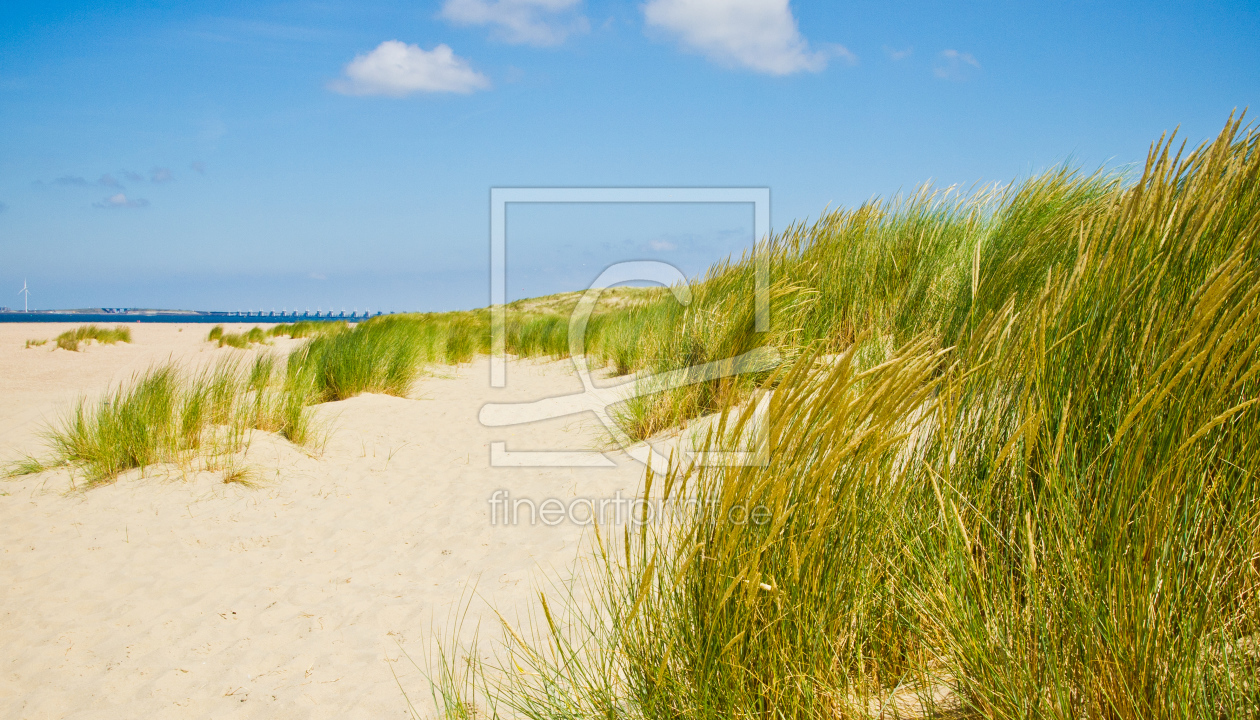 Bild-Nr.: 11630909 Dünen erstellt von euregiophoto