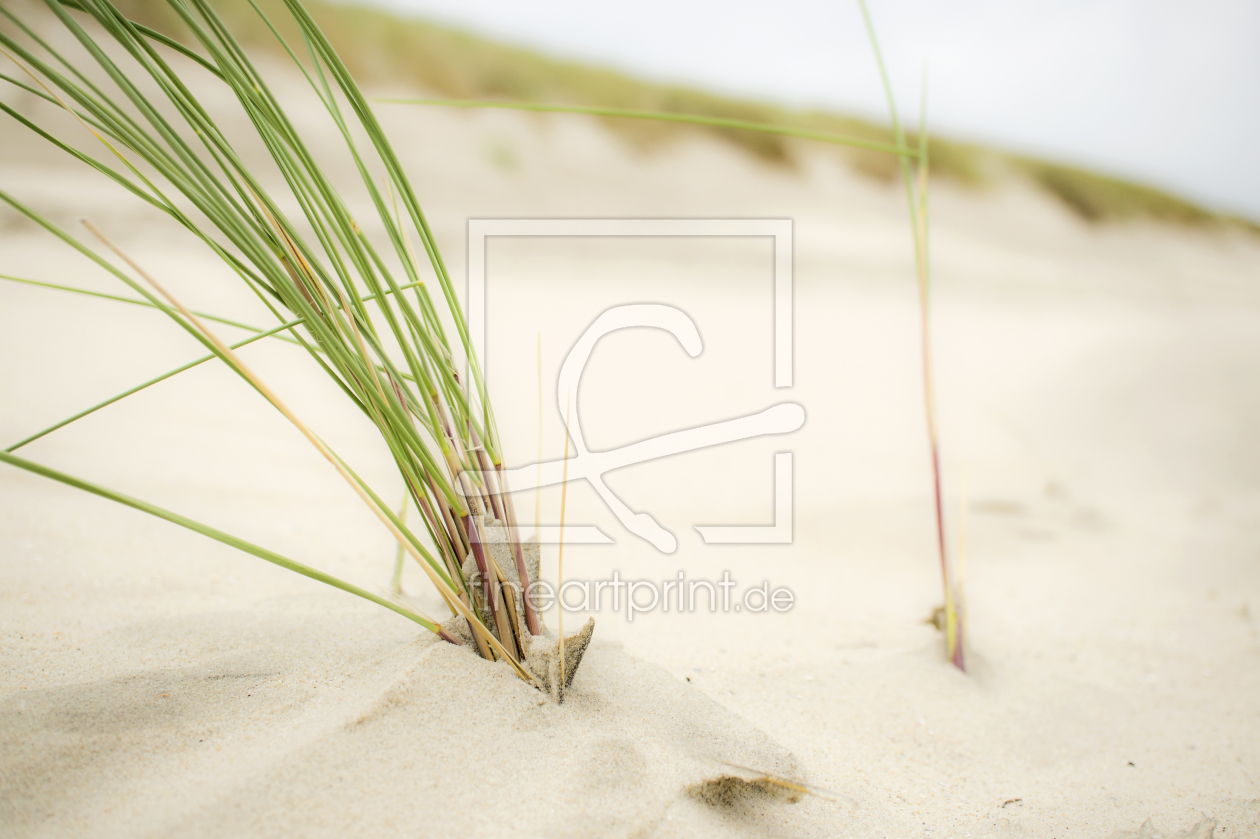 Bild-Nr.: 11633339 Ruhe am Strand erstellt von MartinaW