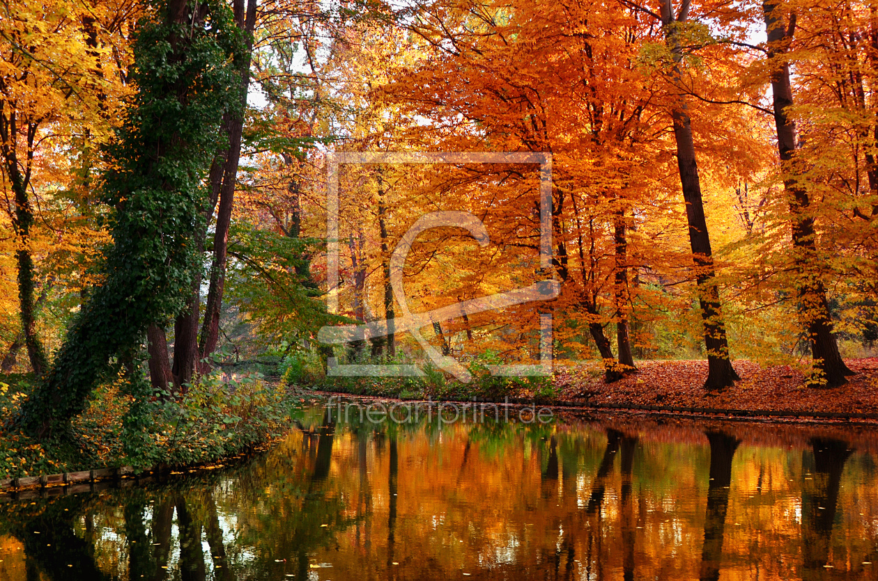 Bild-Nr.: 11635929 Herbst im Park erstellt von Atteloi