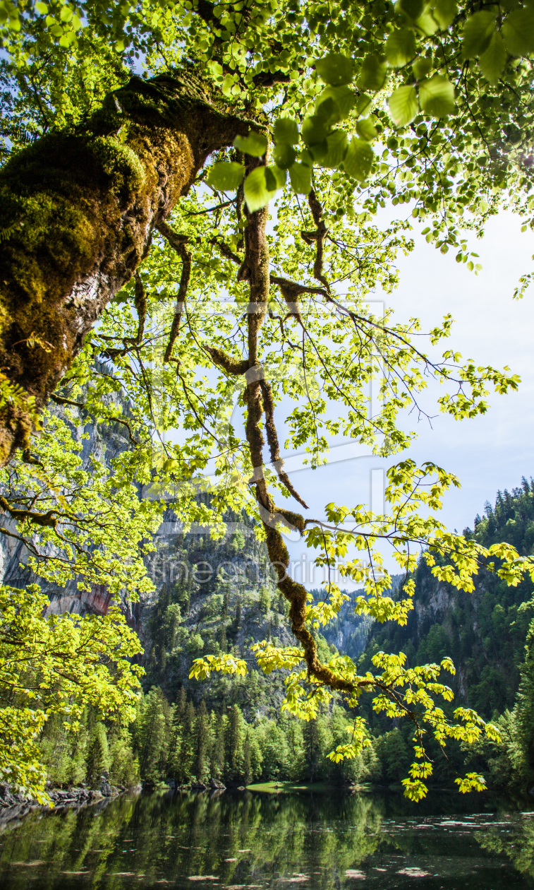 Bild-Nr.: 11637953 Schönheit der Natur Bild-Nr.: 11637953 Schönheit der Natur erstellt von wompus