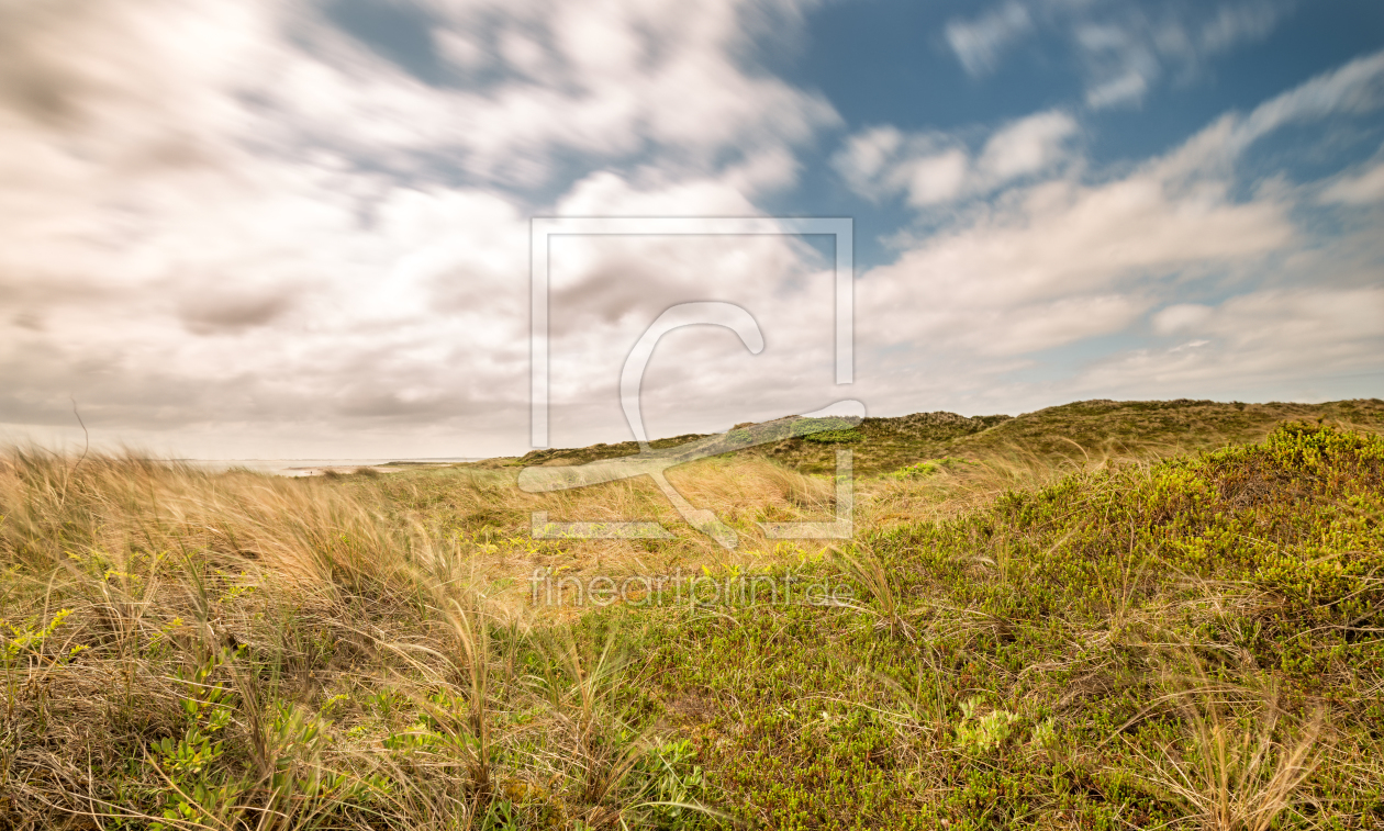 Bild-Nr.: 11639670 Dünenblick Hörnum erstellt von Nordbilder