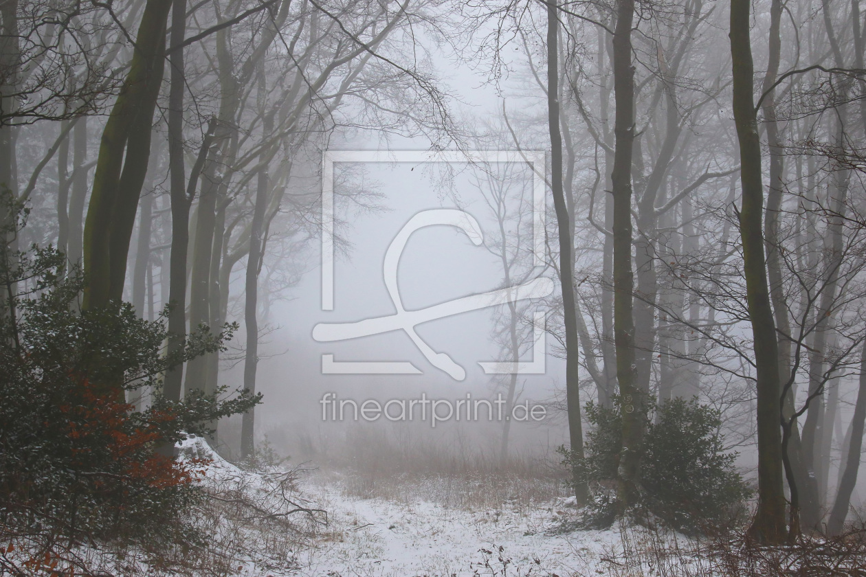 Bild-Nr.: 11640366 Winterwald mit Nebel erstellt von falconer59