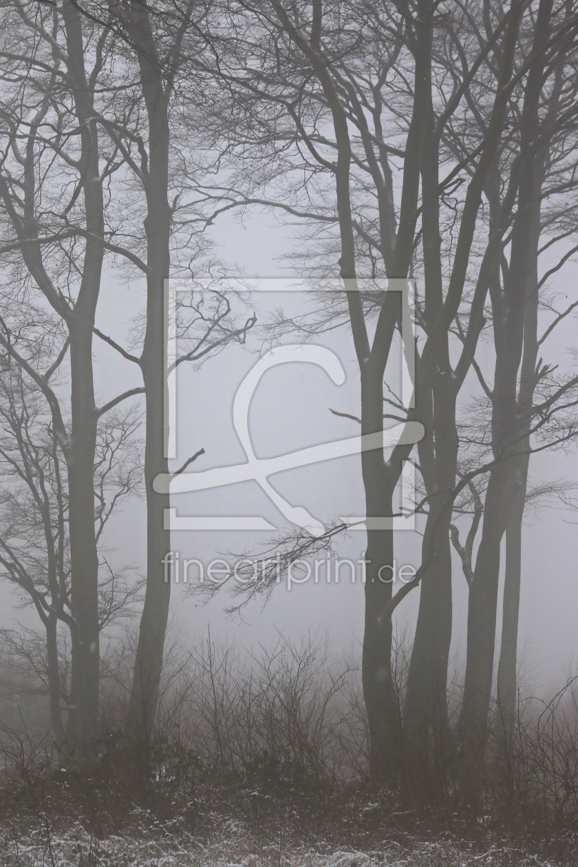 Bild-Nr.: 11640372 Winterwald mit Nebel 2 erstellt von falconer59