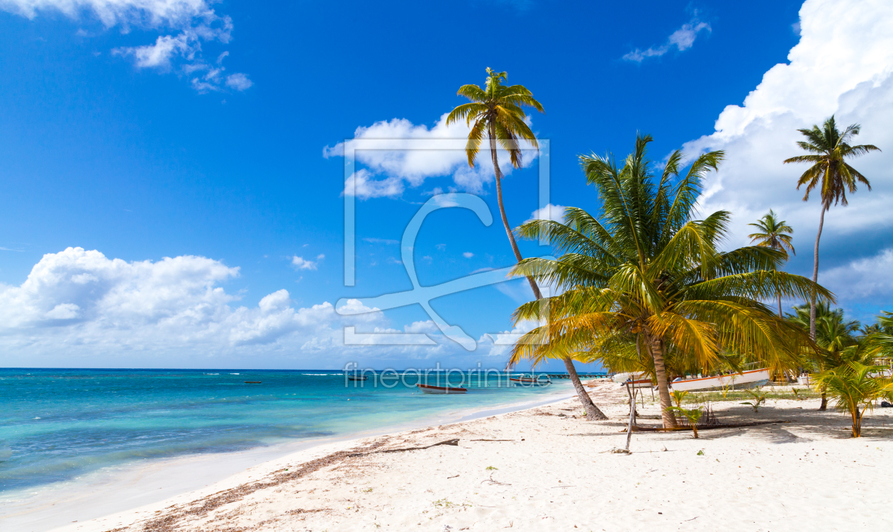 Bild-Nr.: 11641434 Strand in Saona Dominikanische Republik erstellt von wsf-fineartprint