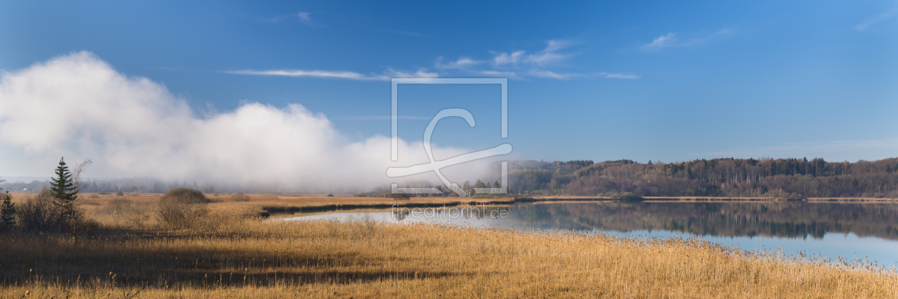Bild-Nr.: 11642082 Morgennebel erstellt von DenisFeiner