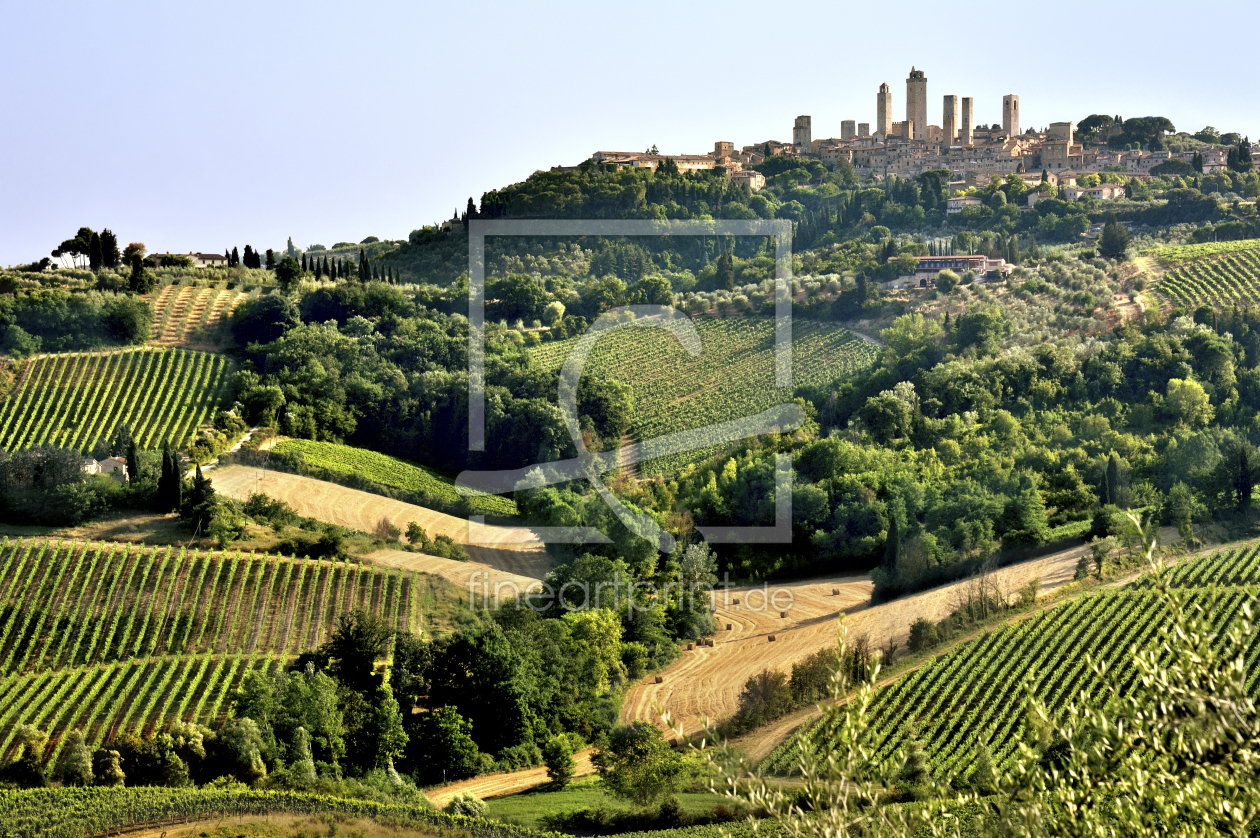 Bild-Nr.: 11644994 Hügellandschaft San Gimignano erstellt von KundenNr-160338