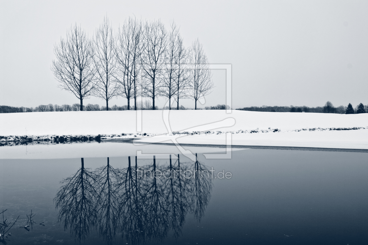 Bild-Nr.: 11651040 Reflektion erstellt von Fotoartist-Manfred