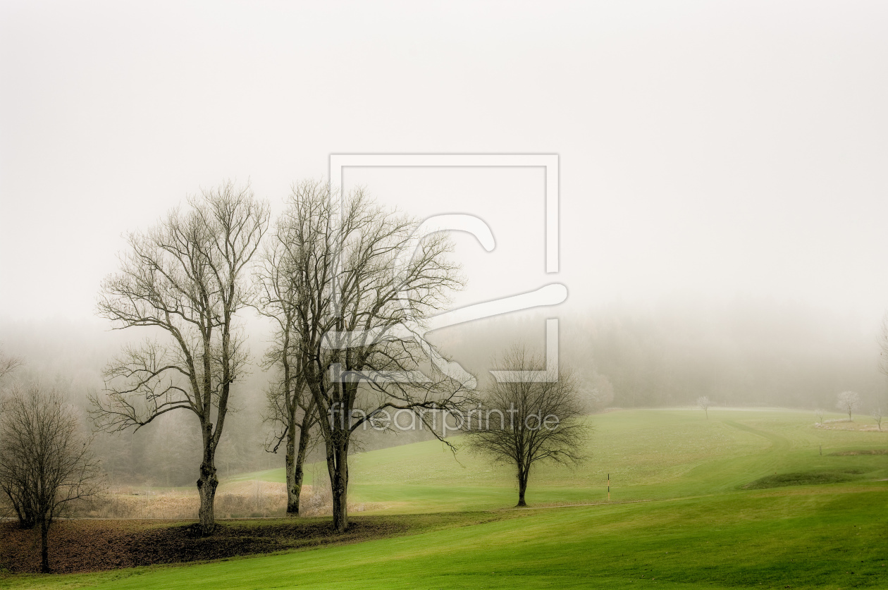 Bild-Nr.: 11651508 foggy day erstellt von Fotoartist-Manfred