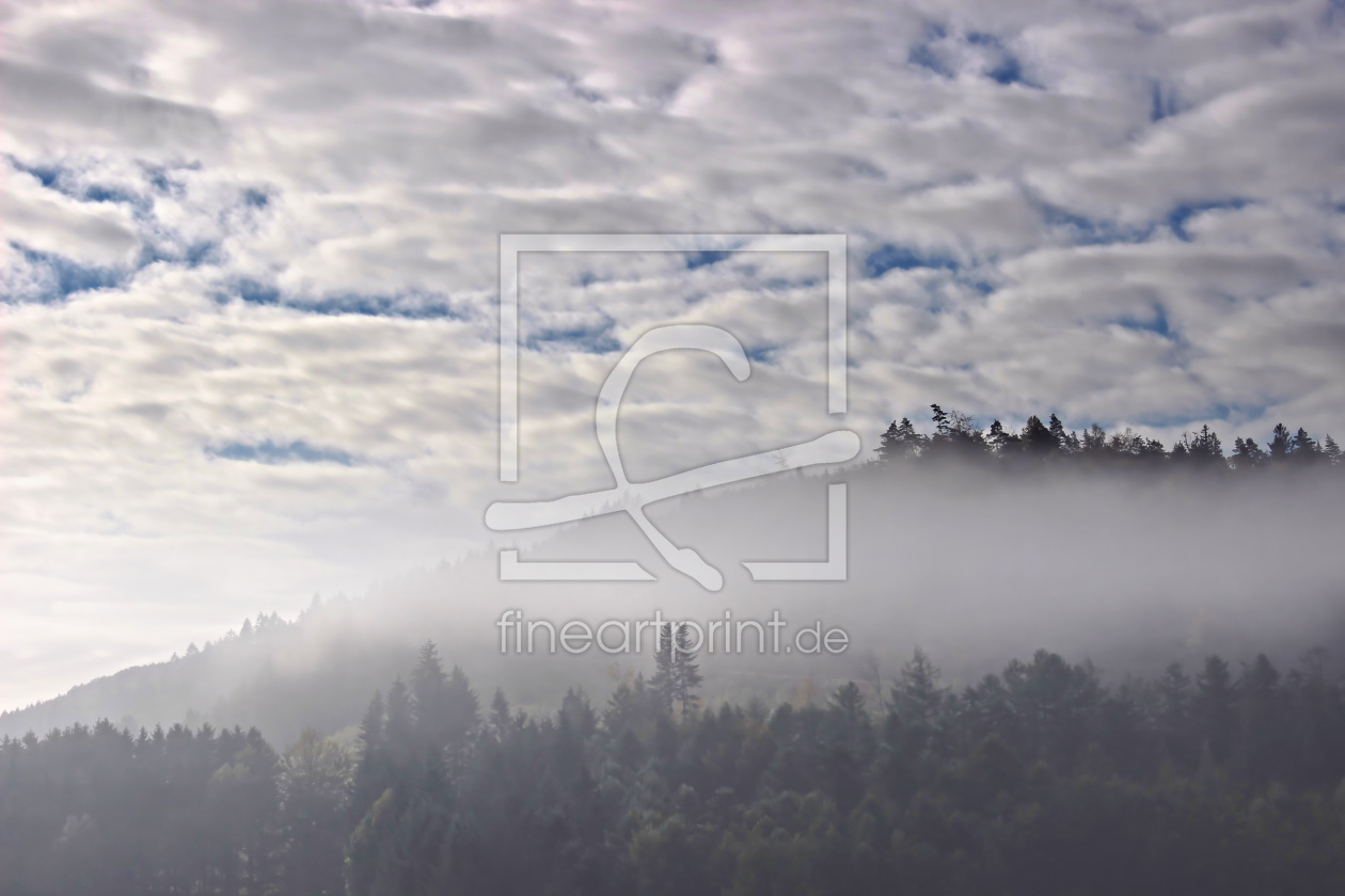 Bild-Nr.: 11651858 Wolken, Wald und Nebel erstellt von falconer59