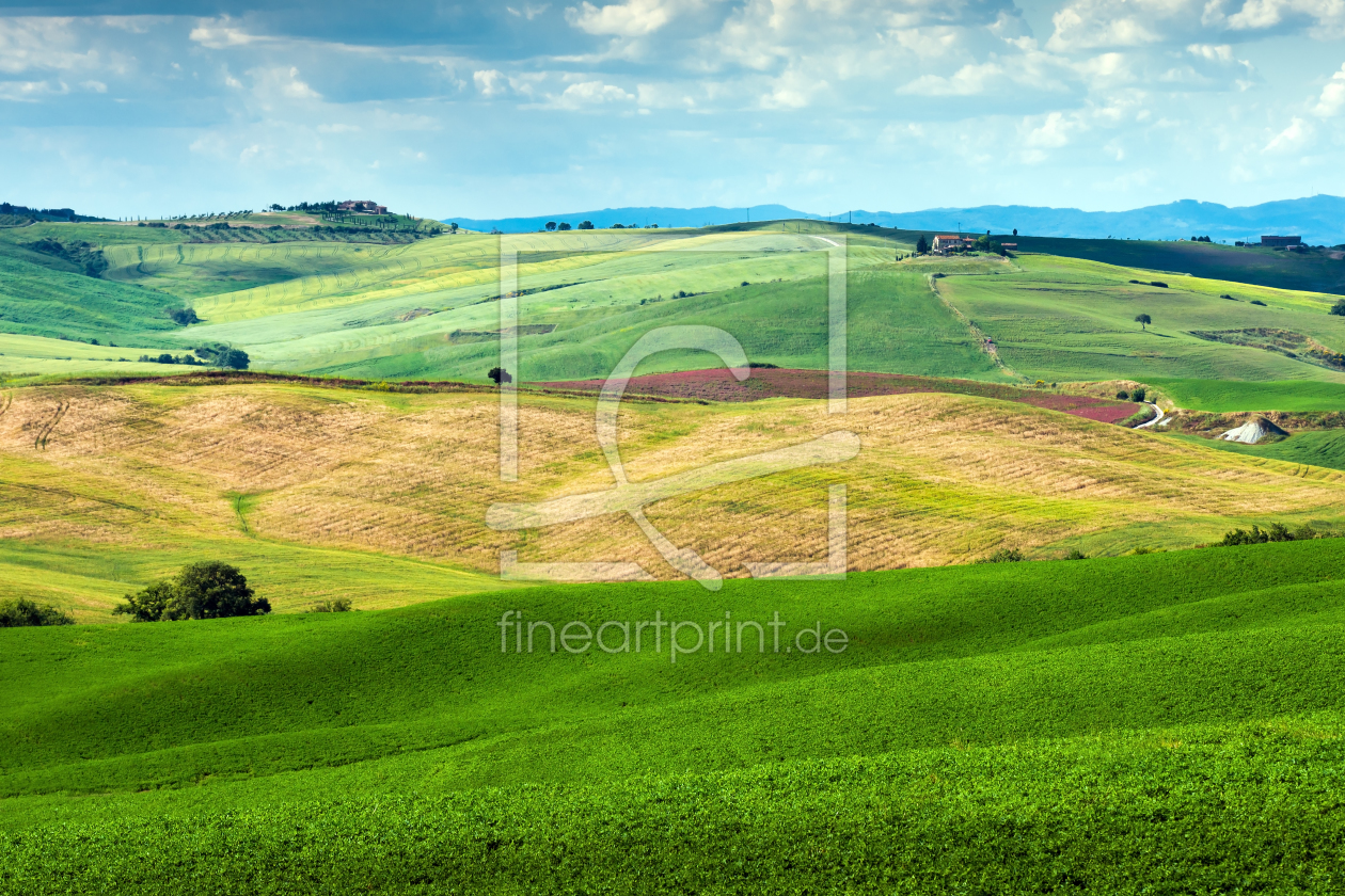 Bild-Nr.: 11653956 Val d´Orcia, Toskana erstellt von Reiner Würz