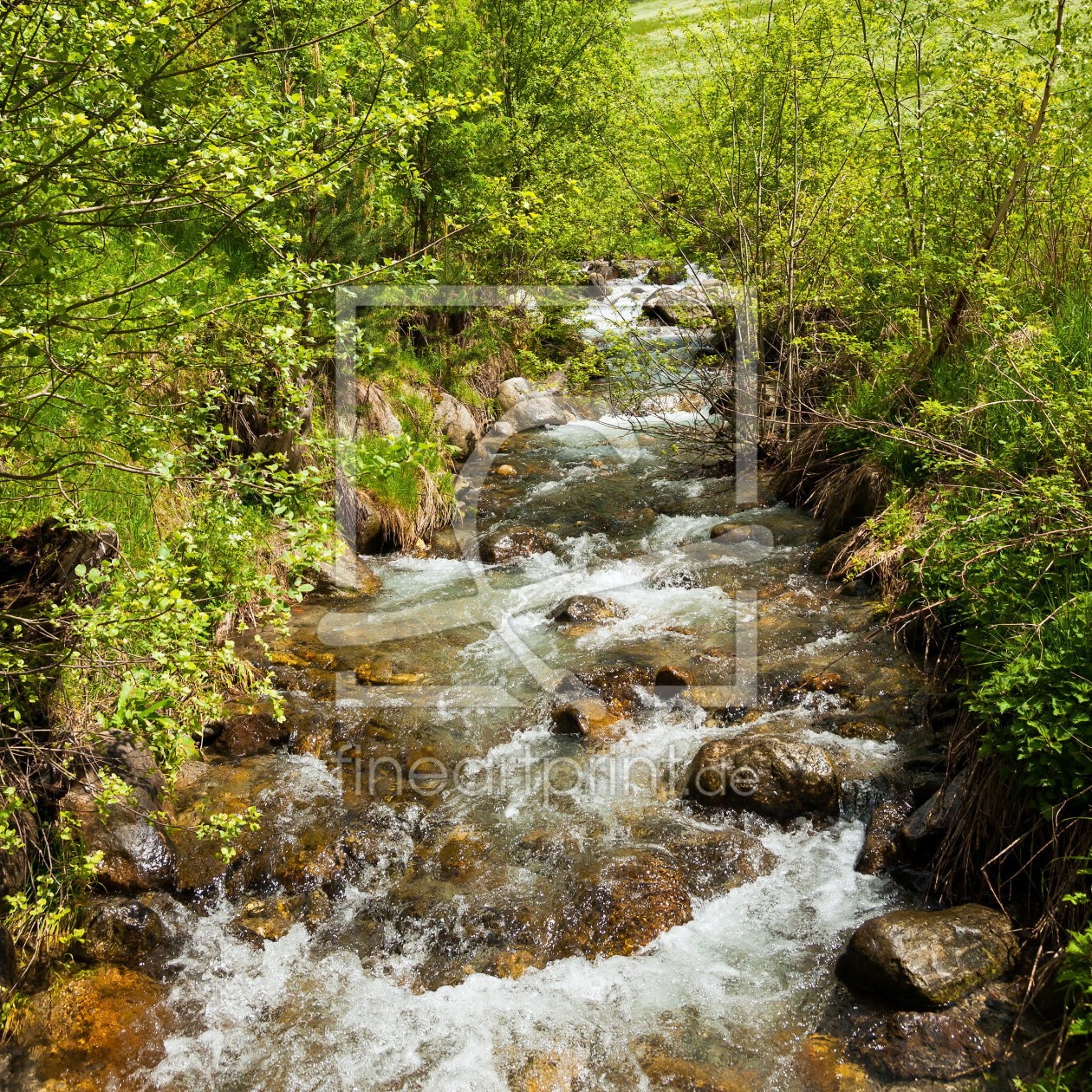 Bild-Nr.: 11656020 Frühling am Wildbach erstellt von Reiner Würz
