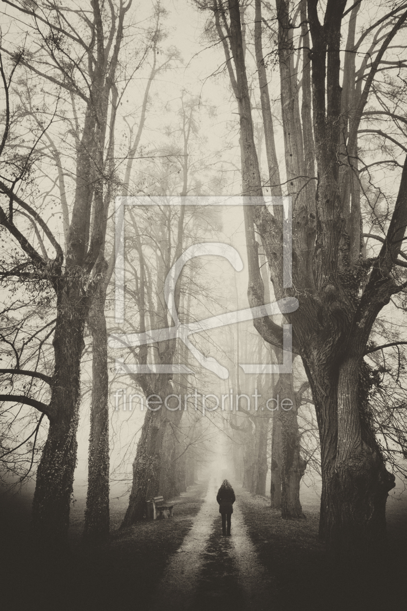 Bild-Nr.: 11656412 Einsam erstellt von Fotoartist-Manfred
