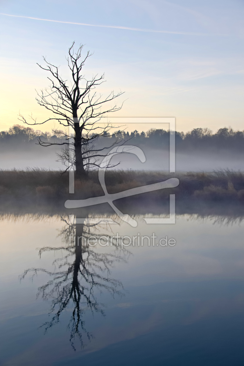 Bild-Nr.: 11661412 Der tote Baum am Fluss erstellt von falconer59