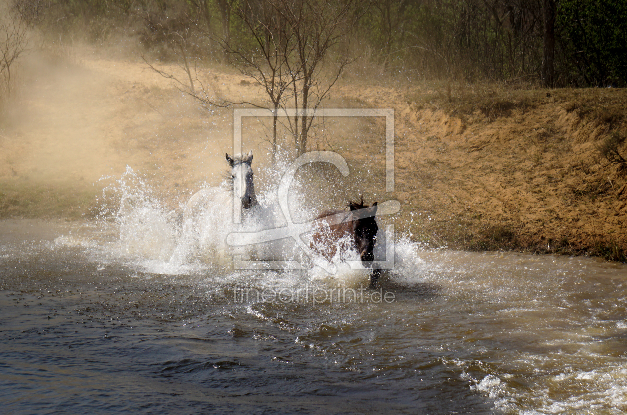 Bild-Nr.: 11662218 Splash erstellt von Steff1911