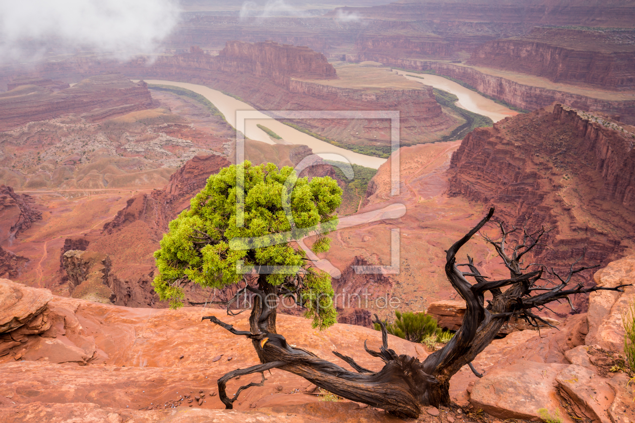 Bild-Nr.: 11667802 Dead Horse Point erstellt von TomKli