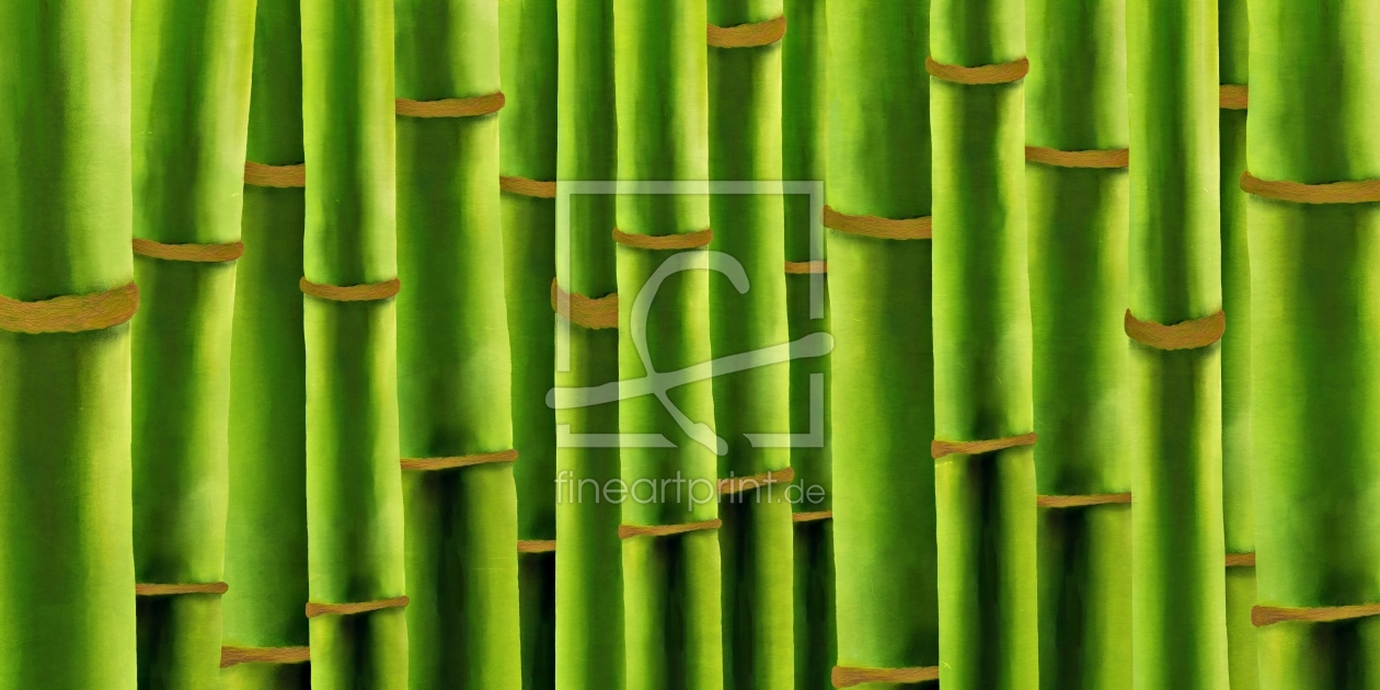 Bild-Nr.: 11670948 Bambus erstellt von gabii40