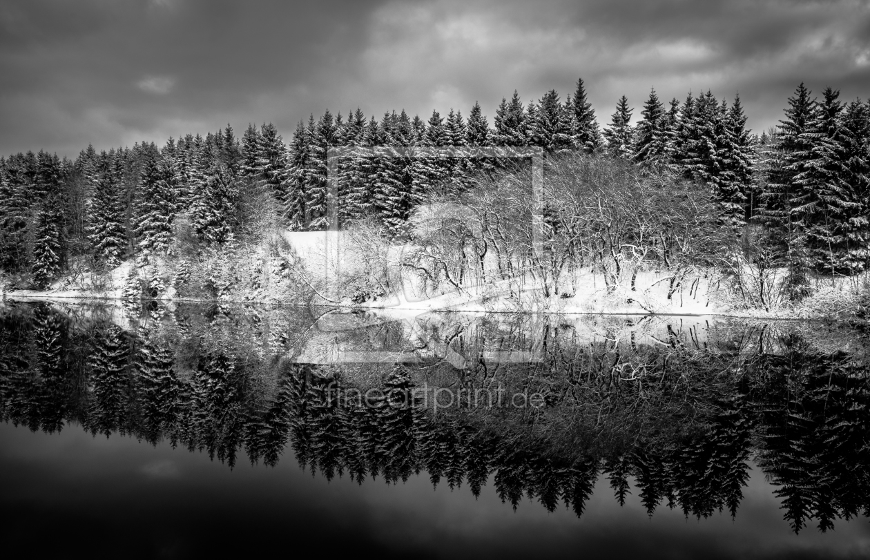 Bild-Nr.: 11672098 Winterteich erstellt von Steffen Henze