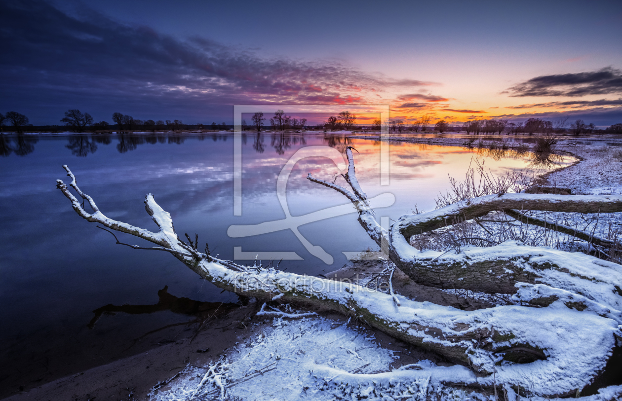 Bild-Nr.: 11674588 Die Elbe bei Bleckede erstellt von PhotoArt-Hartmann