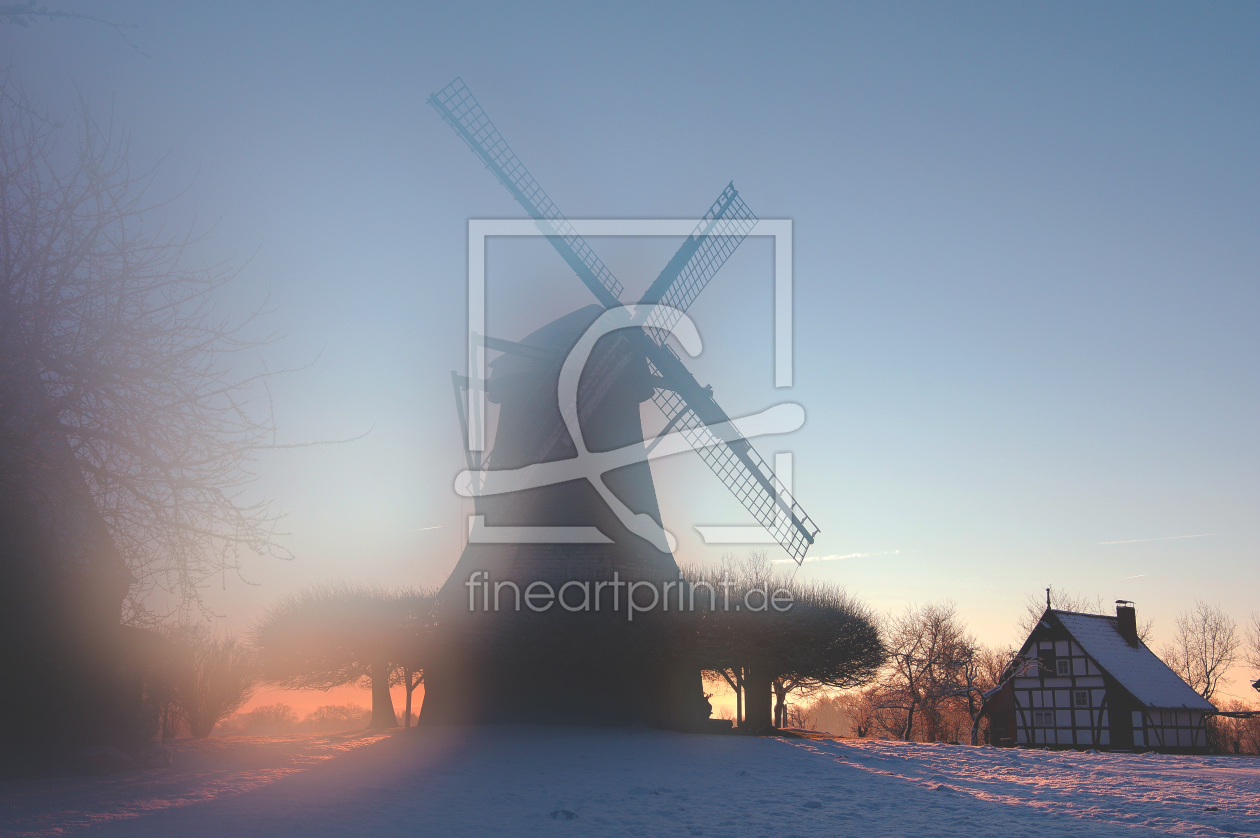 Bild-Nr.: 11675576 Wintermorgen an der Windmühle erstellt von Tanja Riedel