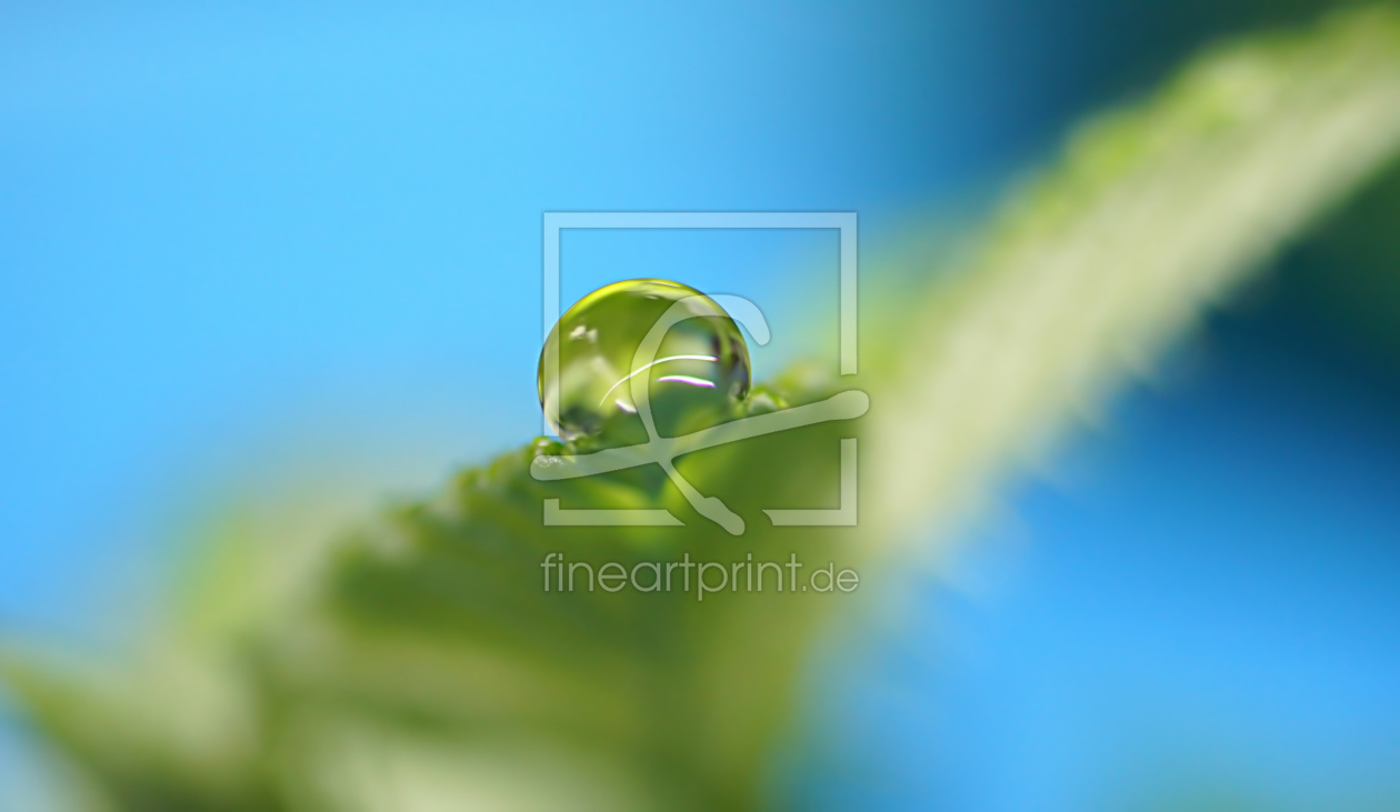 Bild-Nr.: 11676220 Blue - Green erstellt von youhaveadream