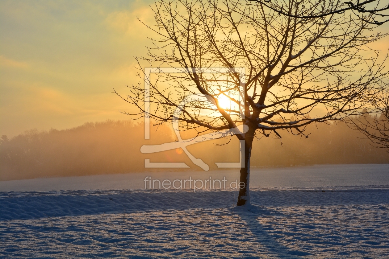 Bild-Nr.: 11677346 Winterstimmung erstellt von Claudia Evans