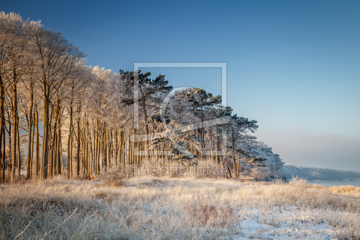 Bild-Nr.: 11678092 Winter am Strand erstellt von FotoDeHRO