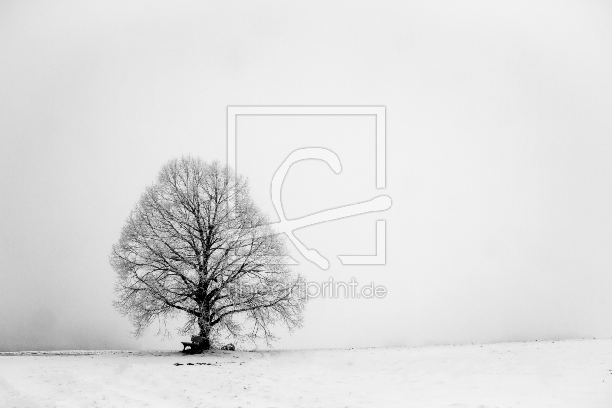 Bild-Nr.: 11678564 Baum im Winter erstellt von Dimo Tabken