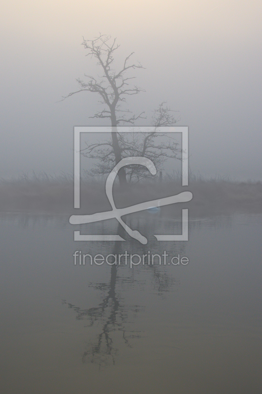 Bild-Nr.: 11679292 Baum im dichten Nebel erstellt von falconer59