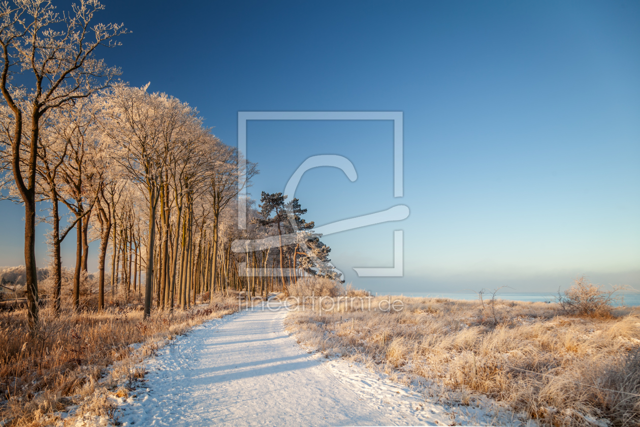 Bild-Nr.: 11679656 Der Weg erstellt von FotoDeHRO