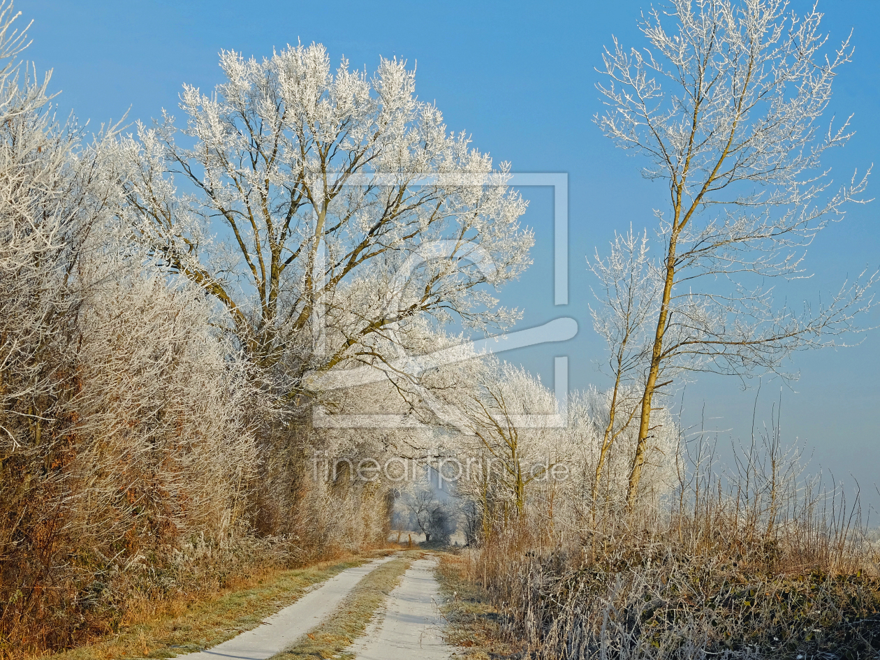 Bild-Nr.: 11679722 Winterwanderweg erstellt von Ostfriese