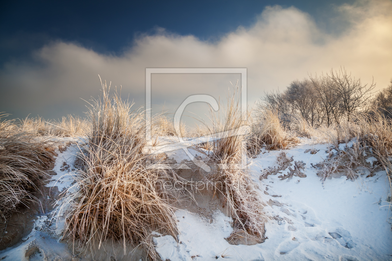 Bild-Nr.: 11679748 Im Winter erstellt von FotoDeHRO