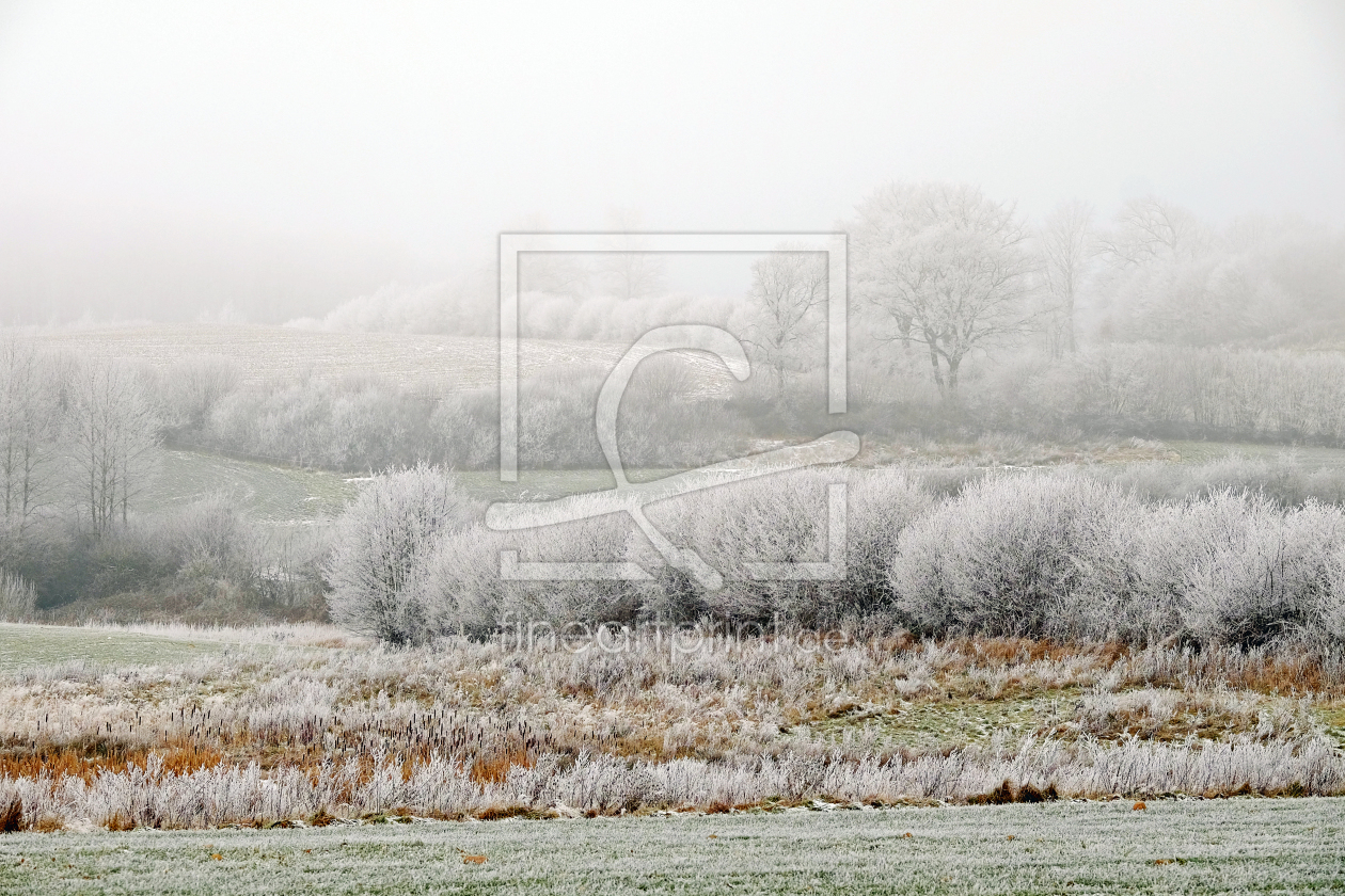 Bild-Nr.: 11679832 Winternebel erstellt von Ostfriese