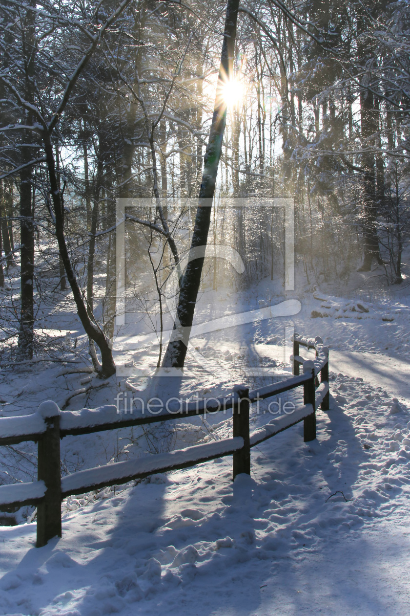 Bild-Nr.: 11680902 Ein schöner Wintertag erstellt von falconer59