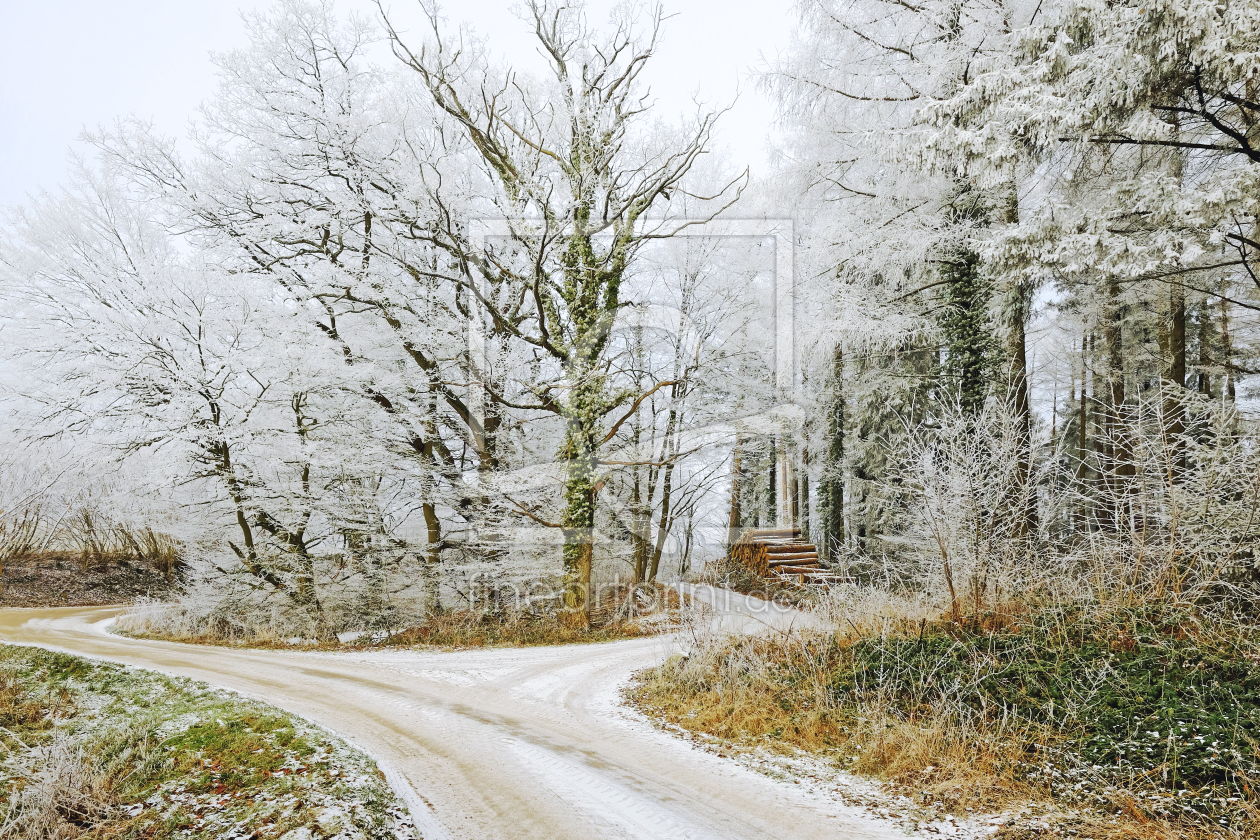 Bild-Nr.: 11680920 Winterwälder  geniessen erstellt von Ostfriese