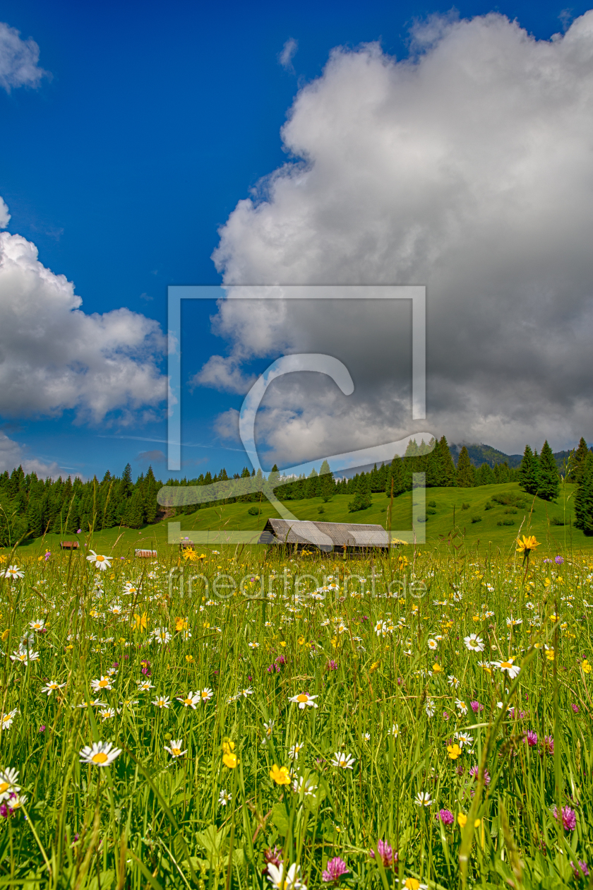 Bild-Nr.: 11681658 Frühling in Bayern erstellt von Achim Thomae