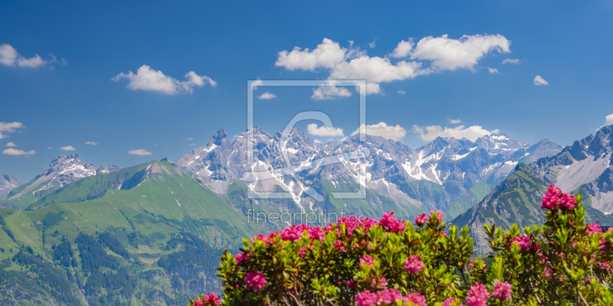 Bild-Nr.: 11683038 Alpenrosenblüte, Allgäu erstellt von Walter G. Allgöwer