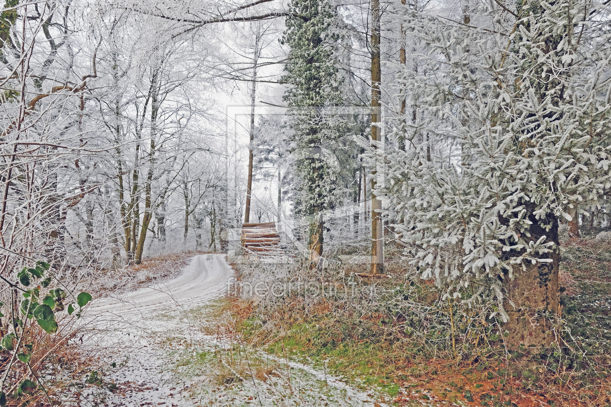 Bild-Nr.: 11684828 Winterwälder erleben erstellt von Ostfriese