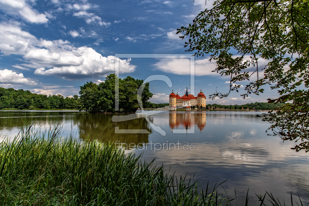 Bild-Nr.: 11685650 Schloss Moritzburg erstellt von Achim Thomae