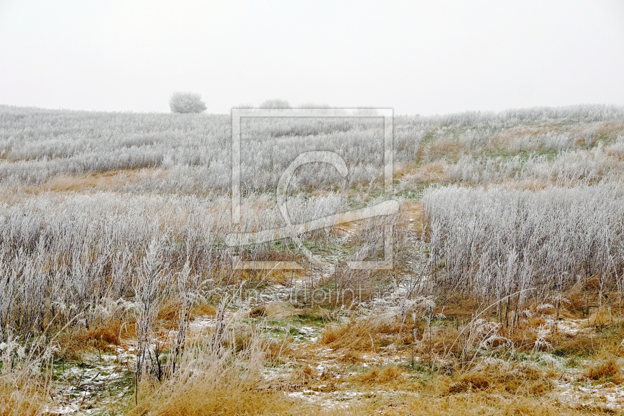 Bild-Nr.: 11686598 Die Winterfelder erstellt von Ostfriese