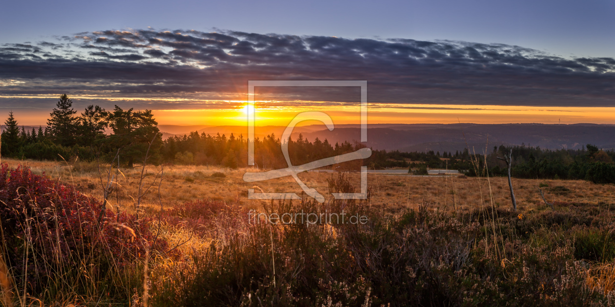 Bild-Nr.: 11686804 Sonnenaufgang auf dem Schliffkopf erstellt von Marcel Heinzmann