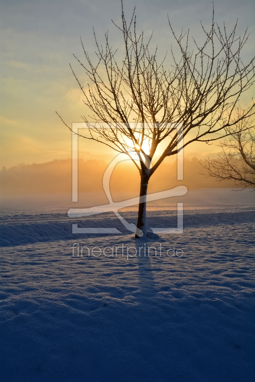 Bild-Nr.: 11688214 Sonnenaufgang im Winter erstellt von Claudia Evans