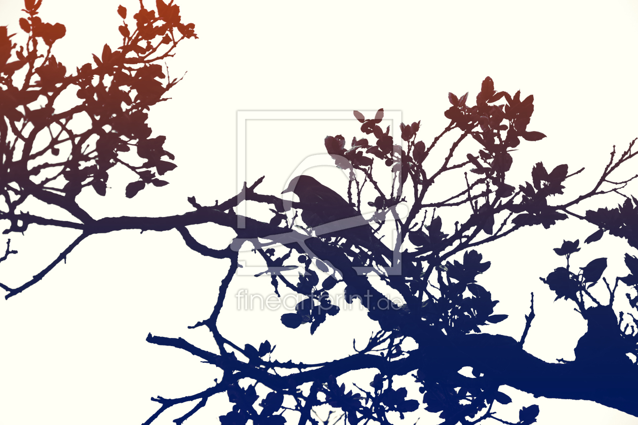 Bild-Nr.: 11689214 Vogel auf dem Ast erstellt von ginton