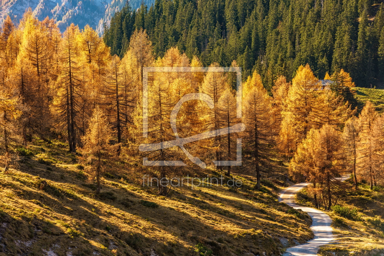Bild-Nr.: 11690020 Herbst im Nationalpark Berchtesgaden erstellt von Achim Thomae