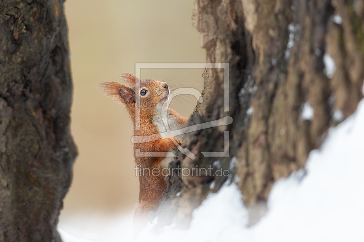 Bild-Nr.: 11690900 ~ Whats up there? ~ erstellt von Henrik Spranz