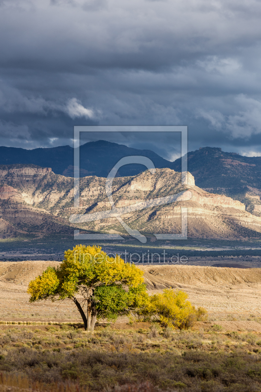 Bild-Nr.: 11691016 Utah Landscape erstellt von TomKli