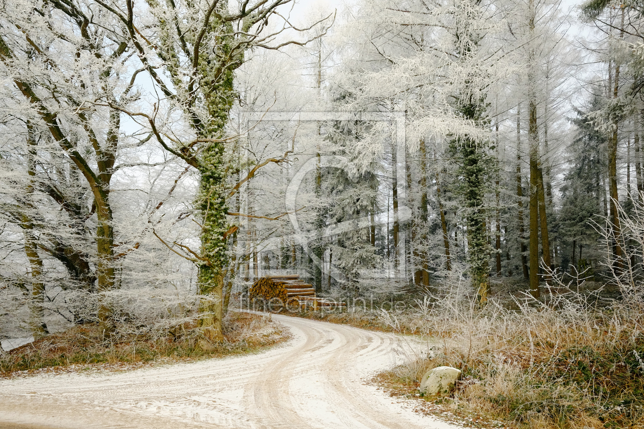 Bild-Nr.: 11692850 Naturpark Westensee erstellt von Ostfriese