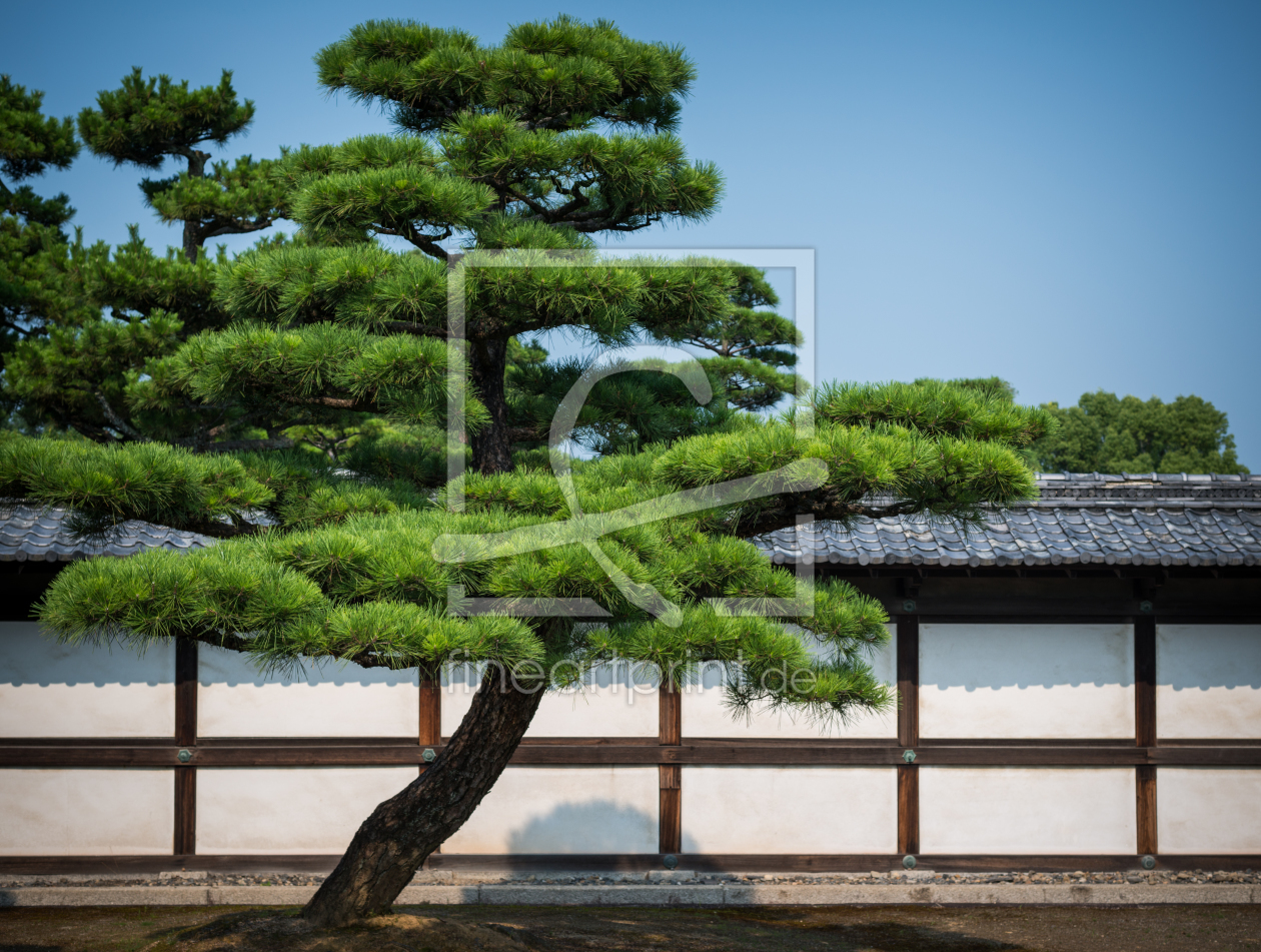 Bild-Nr.: 11694192 Japan Zen Garten erstellt von KundenNr-312982