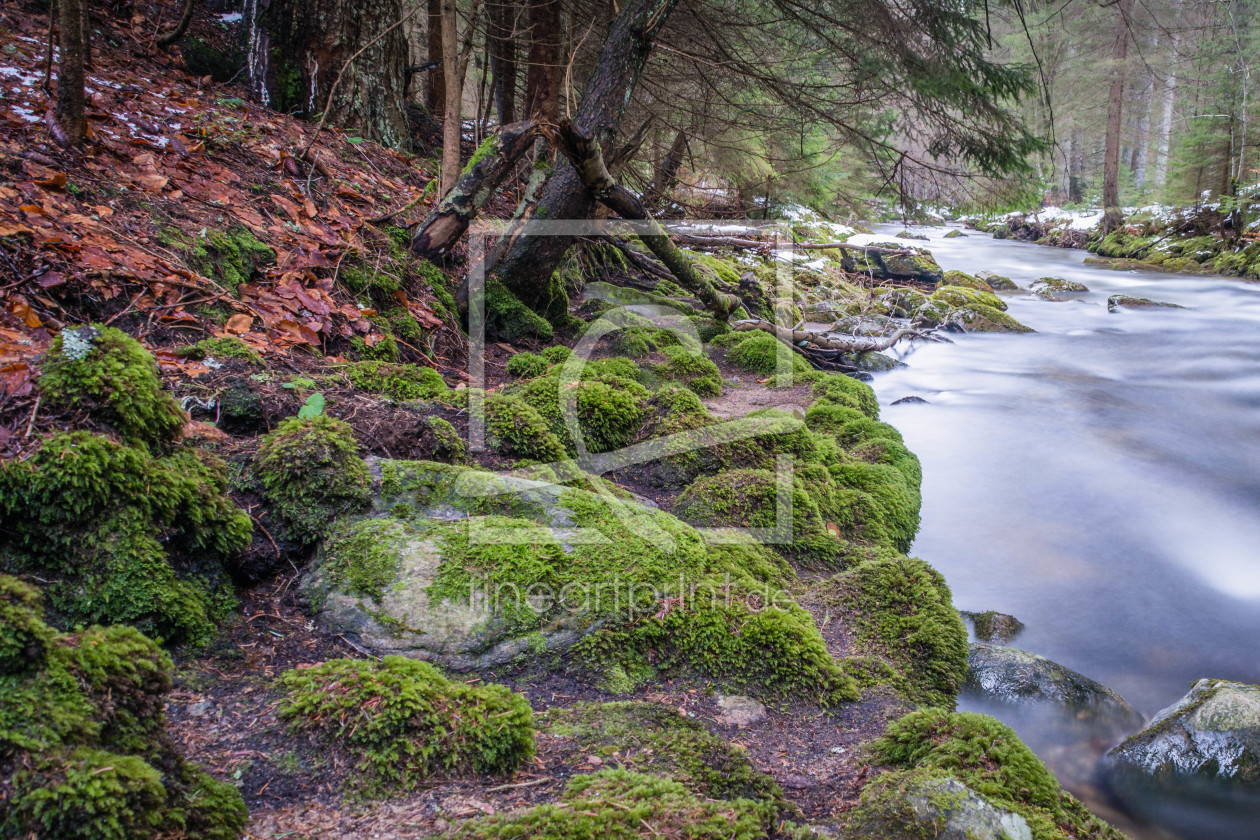 Bild-Nr.: 11694732 Fluss im Winter erstellt von luxpediation