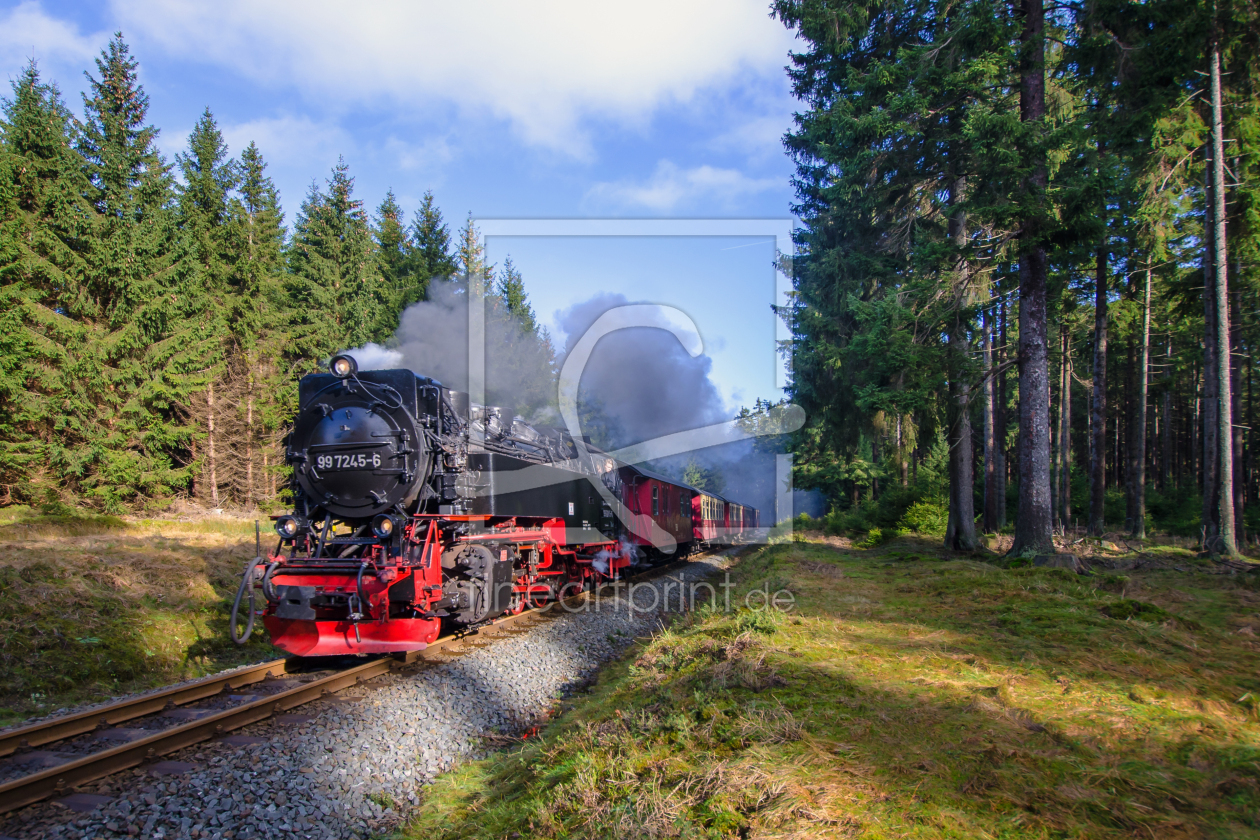 Bild-Nr.: 11694816 Harzquerbahn erstellt von Steffen Gierok