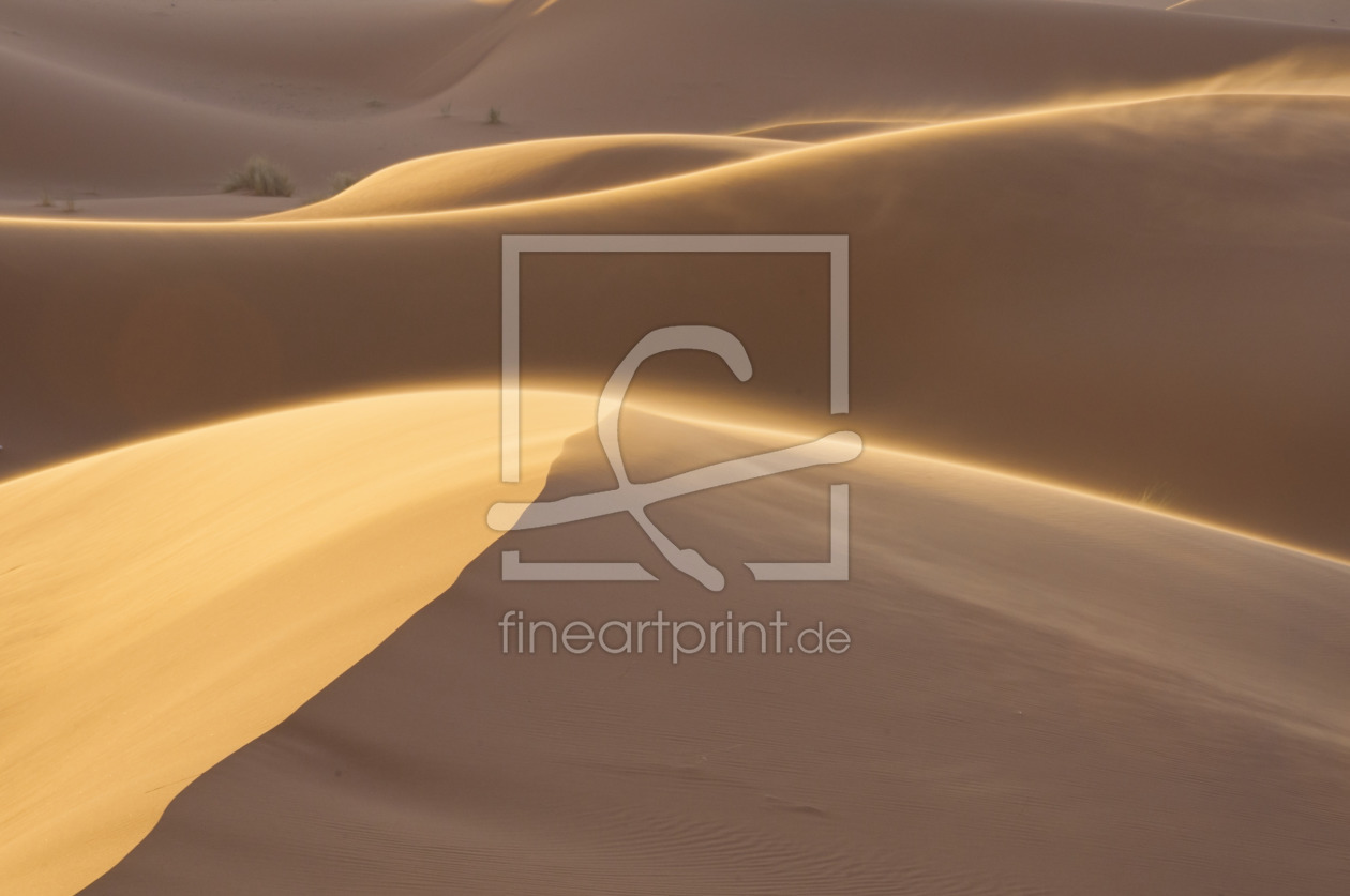 Bild-Nr.: 11696814 Wüste erstellt von Walter G. Allgöwer